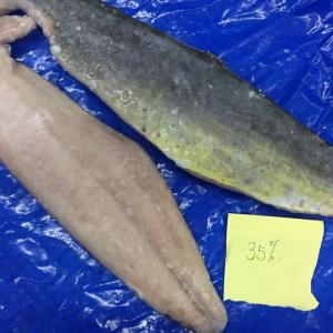 Frozen Mahi Mahi fillet