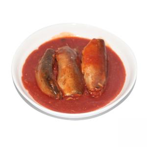 canned mackerel in tomato sauce