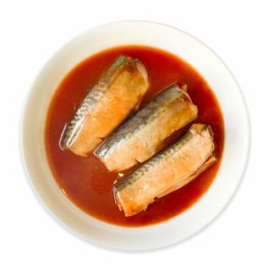 canned mackerel in tomato sauce