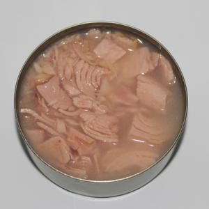 canned tuna in vegetable oil